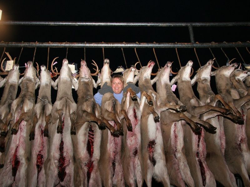 mancelona 52nd buck pole