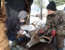 20191116 mancelona 65th buck pole 2019