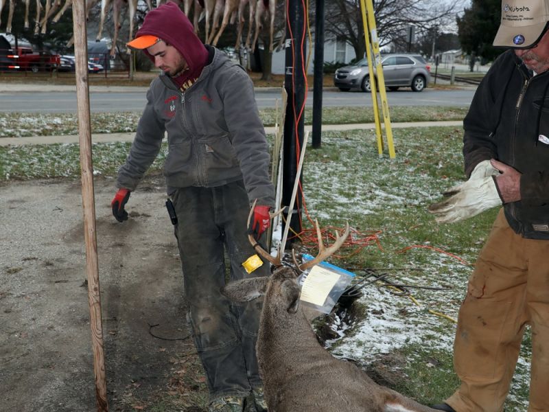 20201116 mancelona 66th buck pole 2020