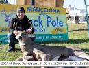 2023 david smyczynski buck pole banner
